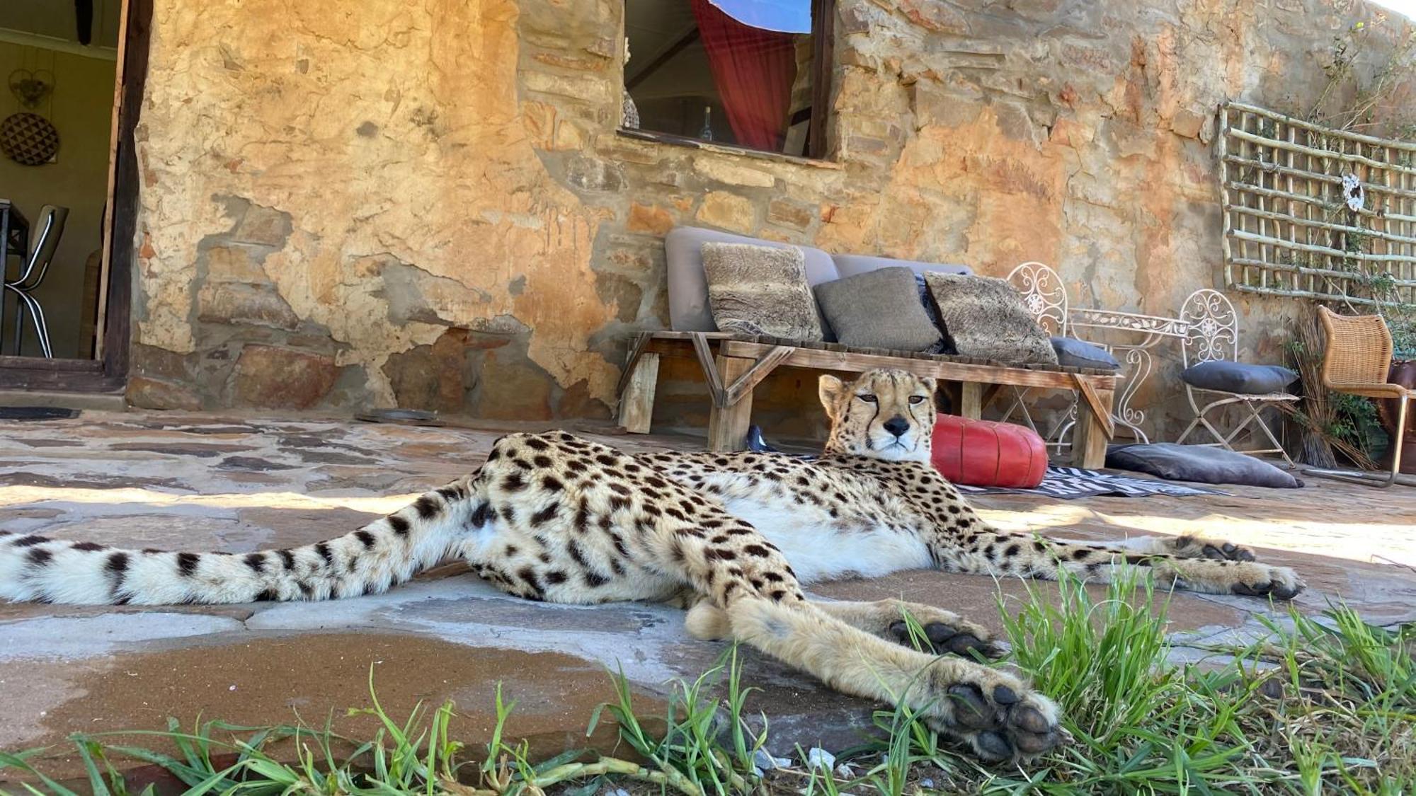 Hotel Iziba Principality Clanwilliam Zewnętrze zdjęcie